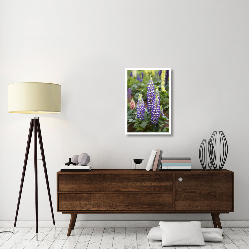 Lupine flowers-Paper Art-22&quotx32"