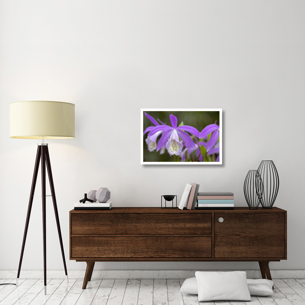 Orchid flowers-Paper Art-32&quotx22"