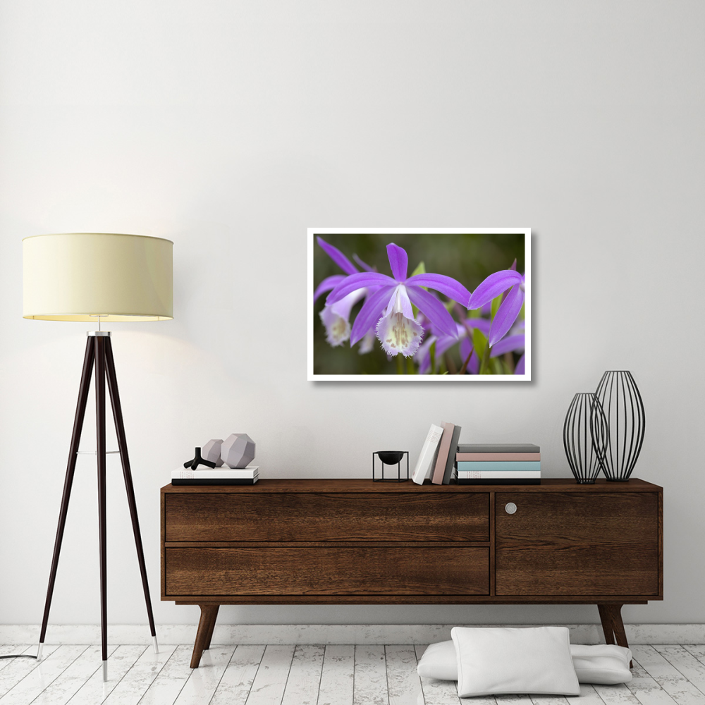 Orchid flowers-Paper Art-38&quotx26"