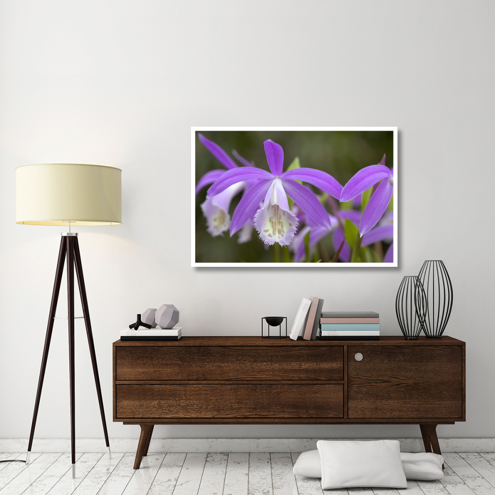 Orchid flowers-Paper Art-50&quotx34"