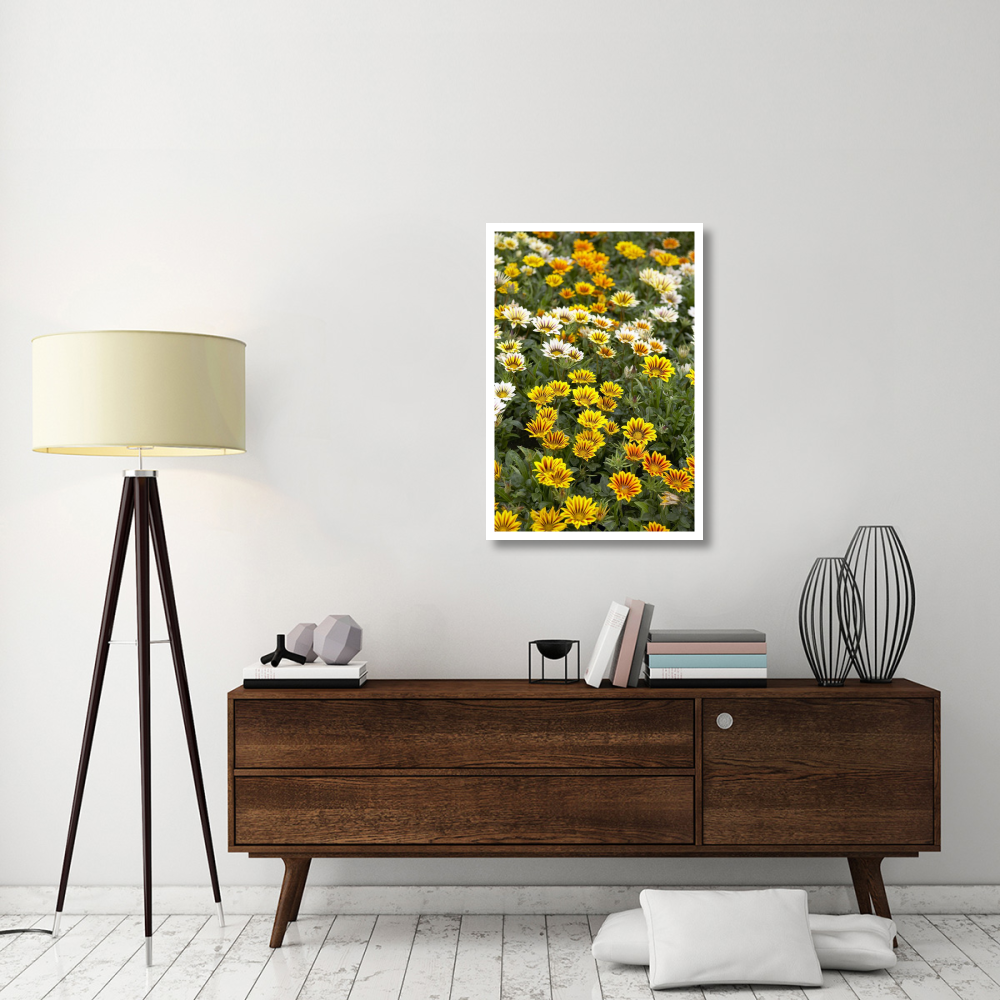 Gazania flowers-Paper Art-26&quotx38"