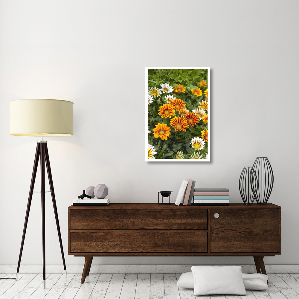 Gazania flowers-Paper Art-26&quotx38"
