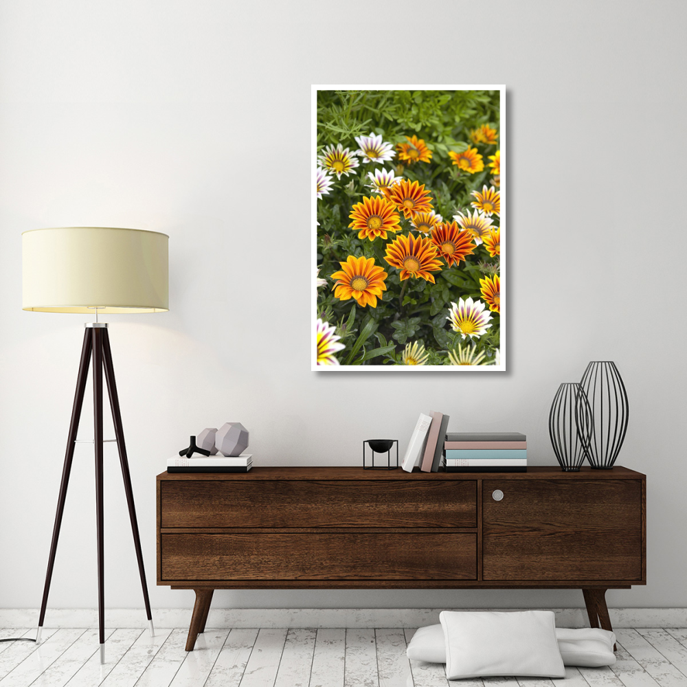 Gazania flowers-Paper Art-34&quotx50"