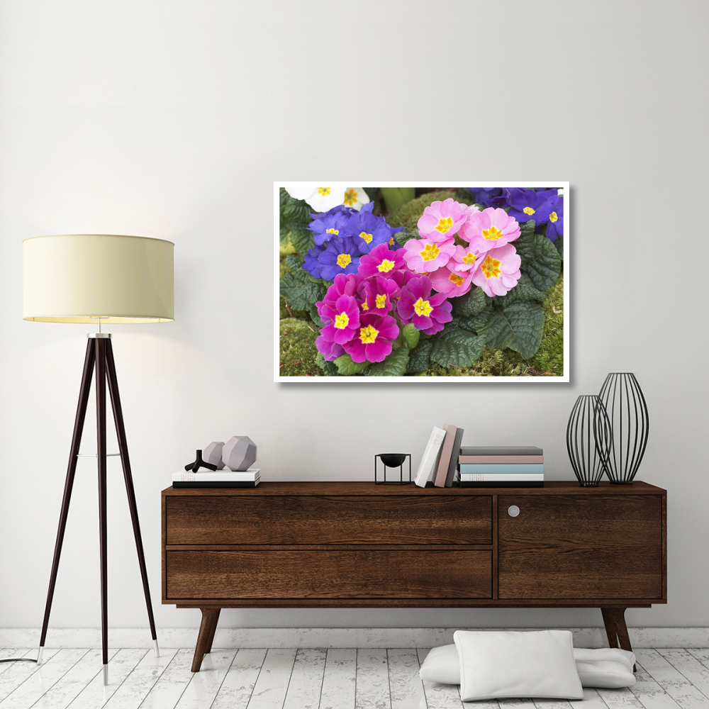 Primrose flowers-Paper Art-50&quotx34"
