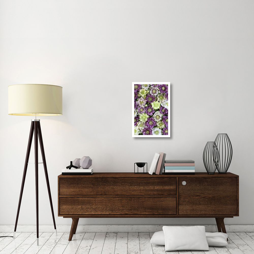 Hellebore flowers-Paper Art-18&quotx26"