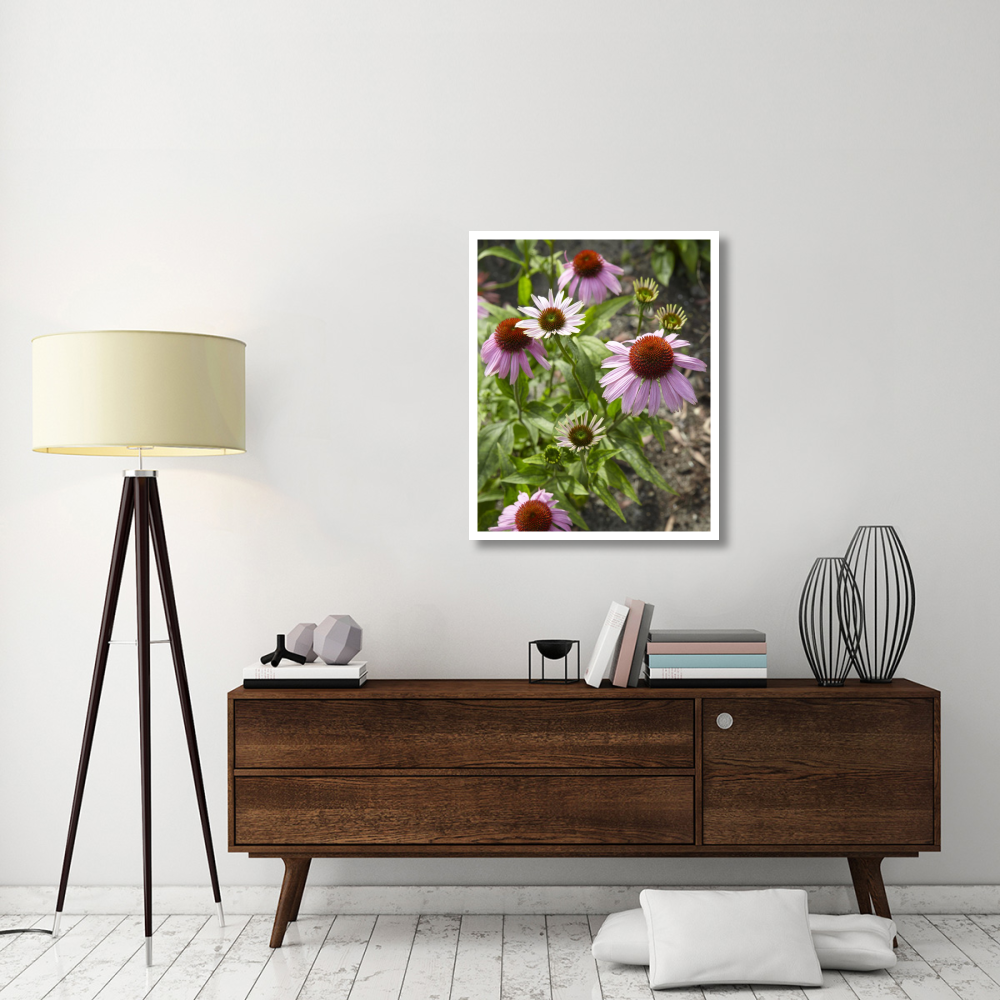 Coneflower flowers-Paper Art-30&quotx37"