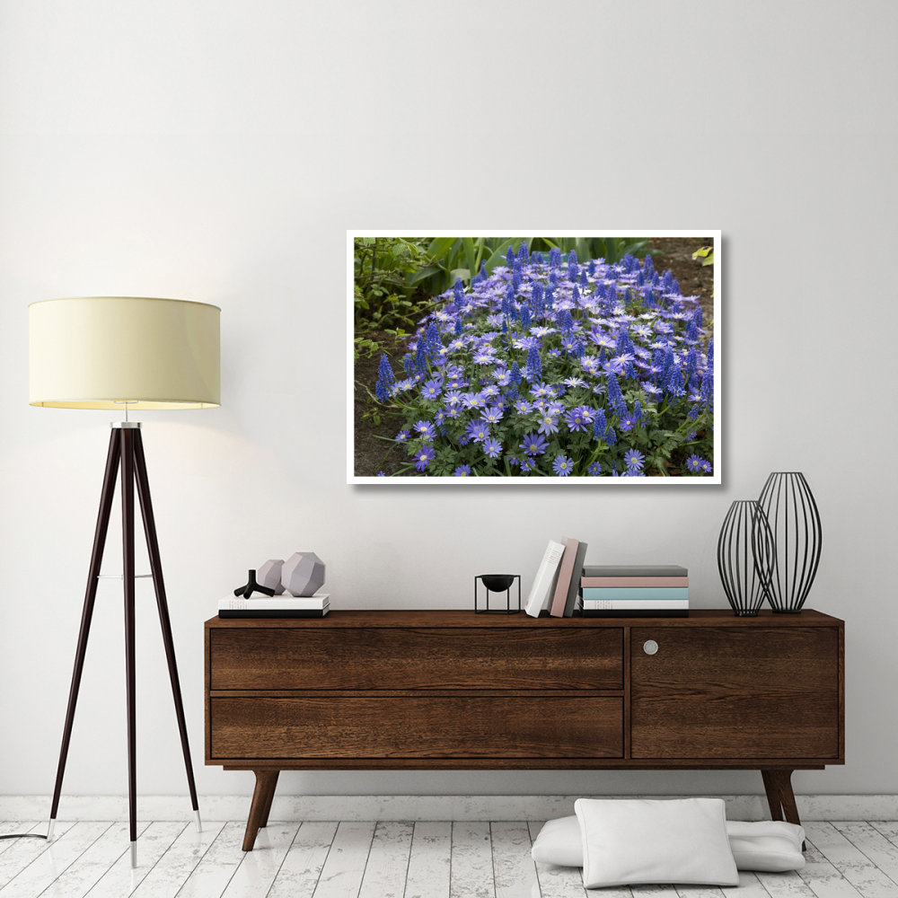 Greek Anemone flowers-Paper Art-50&quotx34"