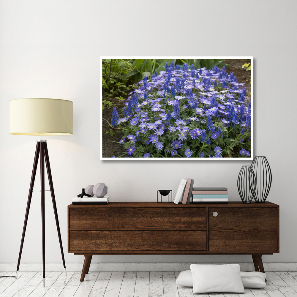 Greek Anemone flowers-Paper Art-62&quotx42"