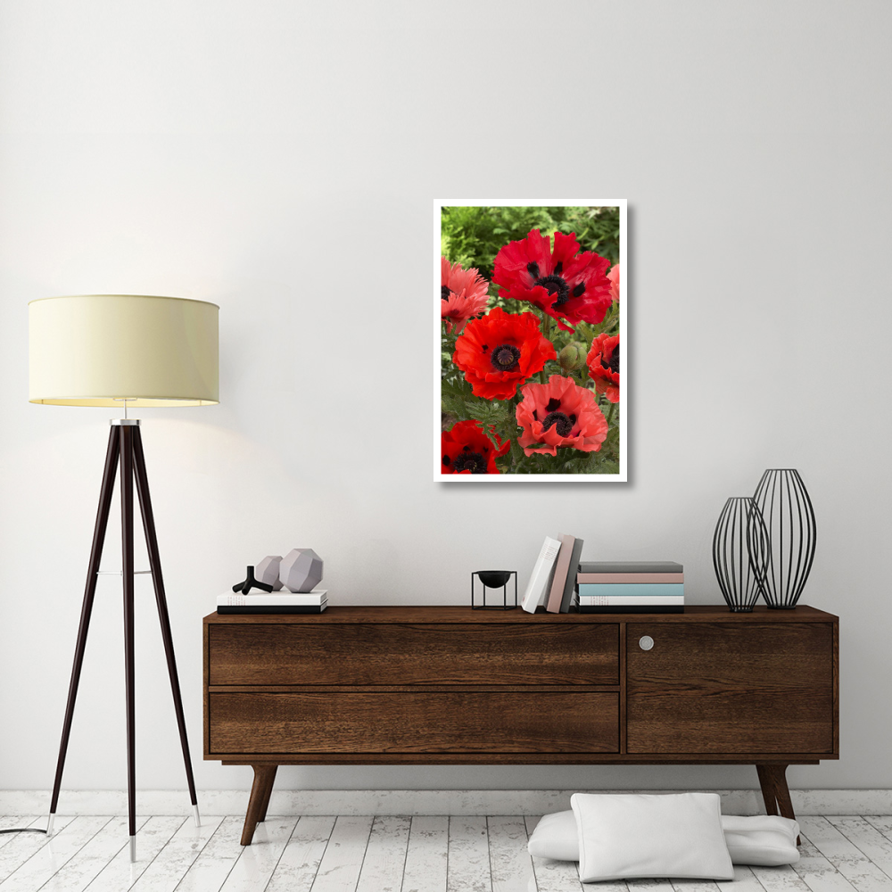 Oriental Poppy flowers-Paper Art-26&quotx38"