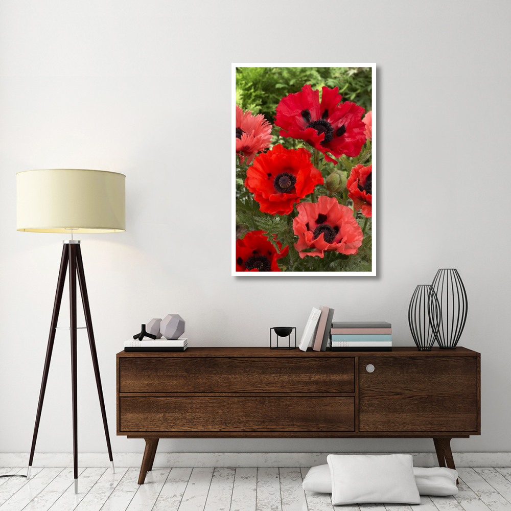 Oriental Poppy flowers-Paper Art-34&quotx50"