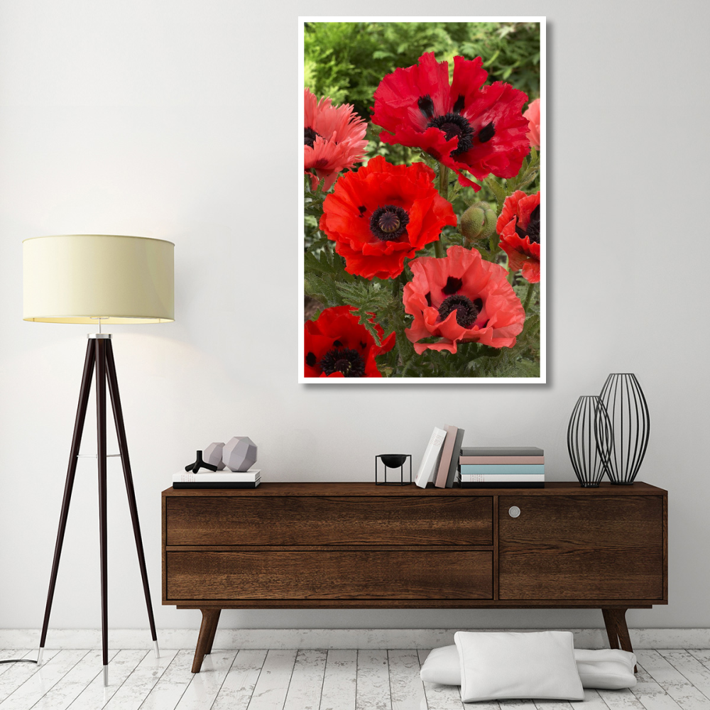 Oriental Poppy flowers-Paper Art-42&quotx62"