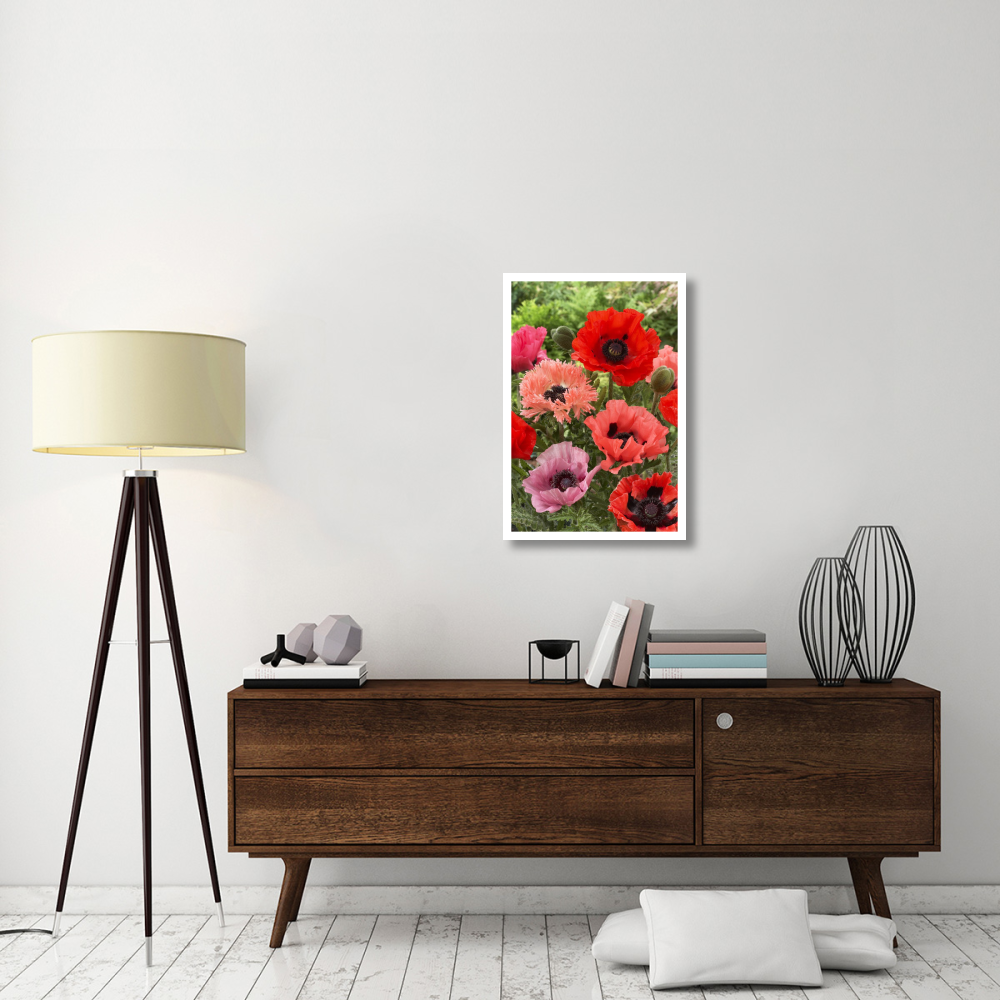 Oriental Poppy flowers-Paper Art-22&quotx32"