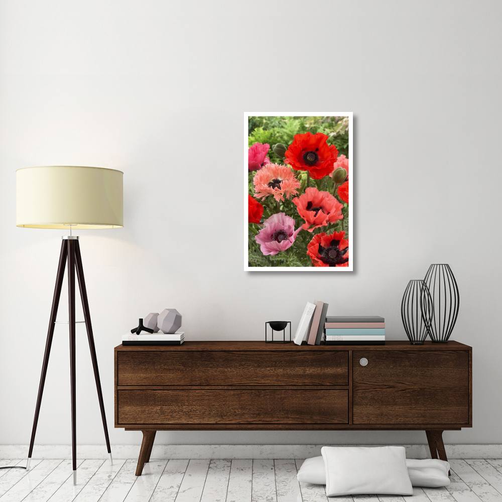 Oriental Poppy flowers-Paper Art-26&quotx38"