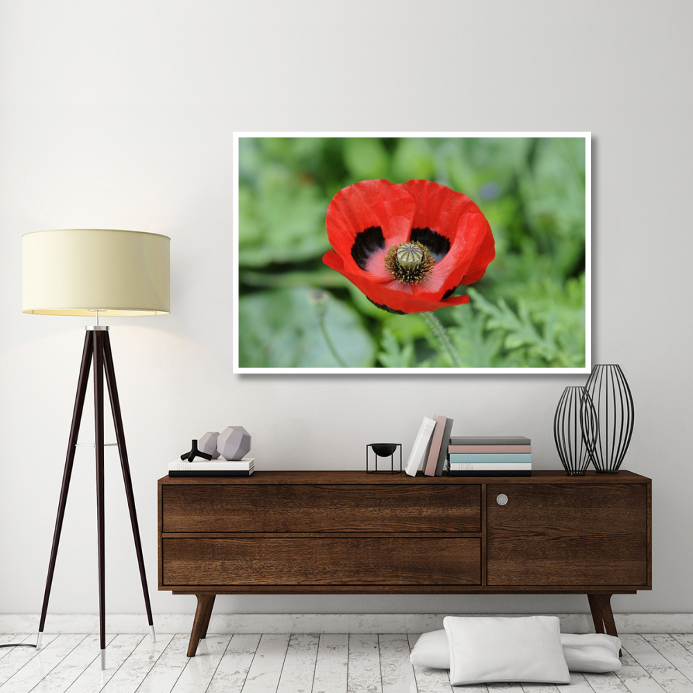 Ladybird Poppy flowers-Paper Art-62&quotx42"