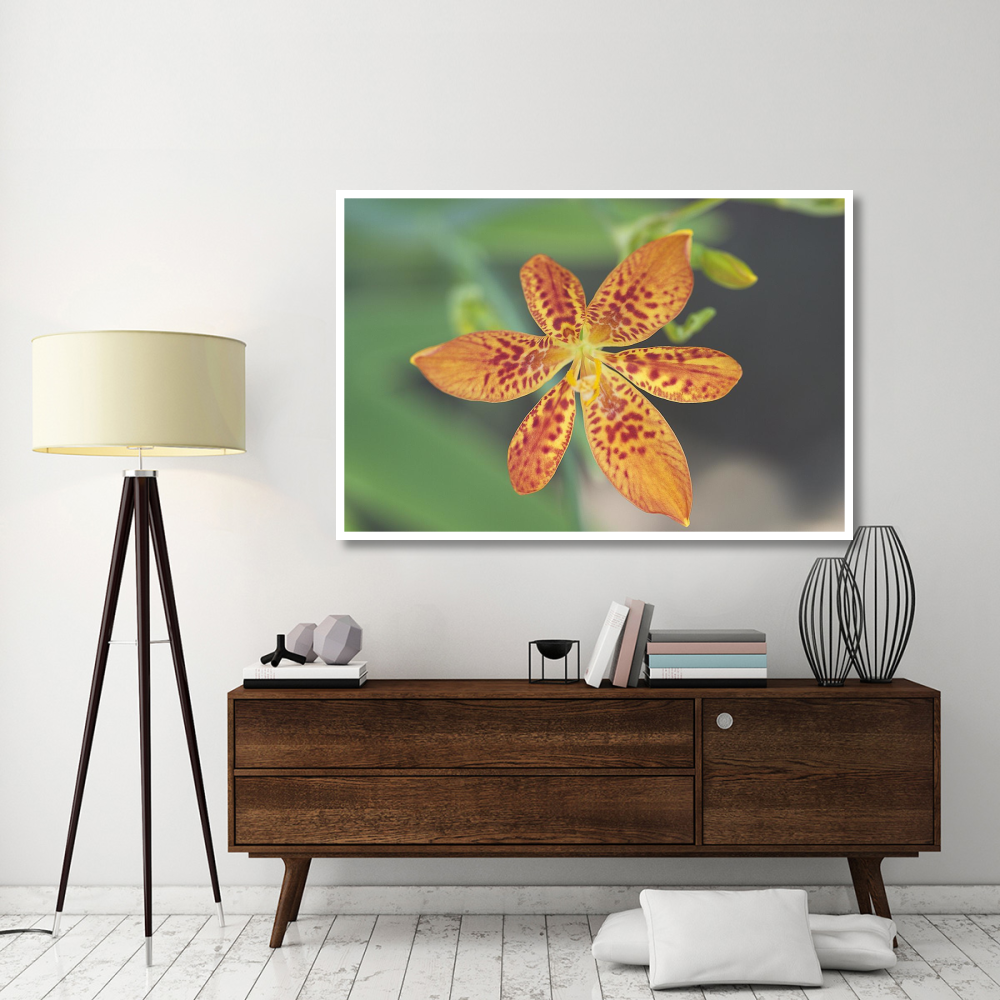 Blackberry Lily flower-Paper Art-62&quotx42"