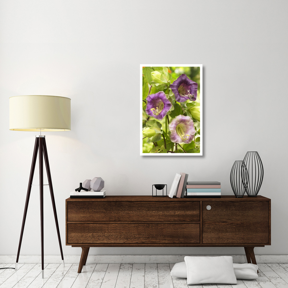 Cup-and-saucer Vine flowers-Paper Art-26&quotx38"