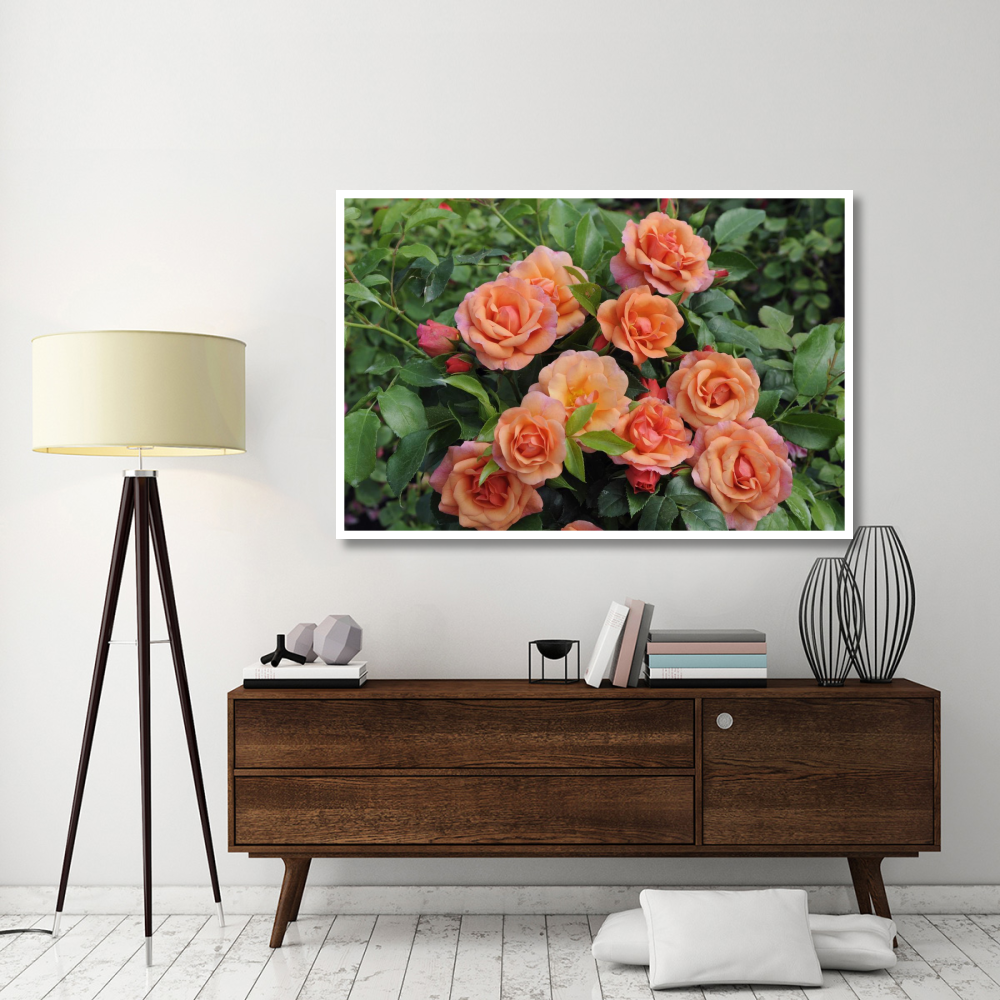 Rose aprikola variety flowers-Paper Art-62&quotx42"
