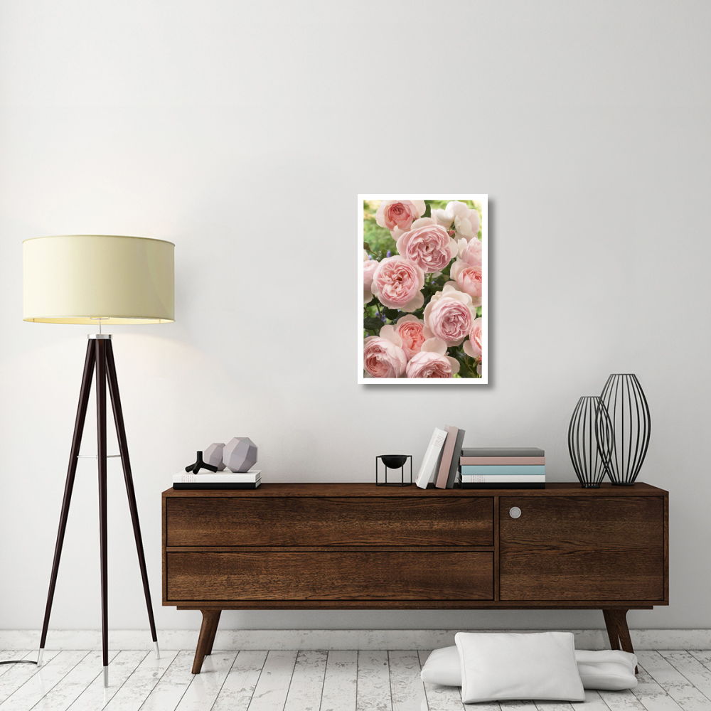 Rose heritage variety flowers-Paper Art-22&quotx32"