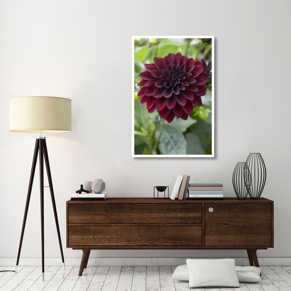 Dahlia ronaldo variety flower-Paper Art-34&quotx50"