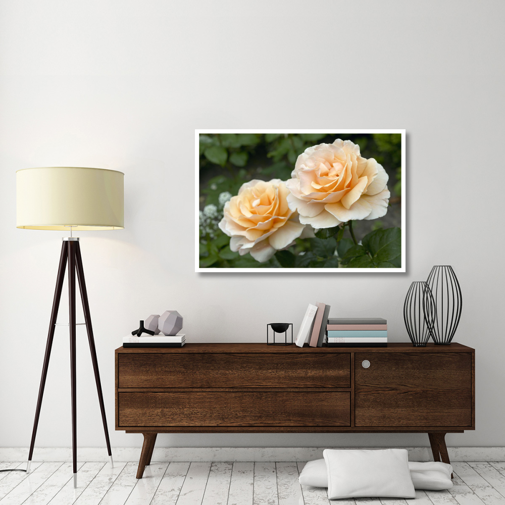 Rose just joey variety flowers-Paper Art-50&quotx34"