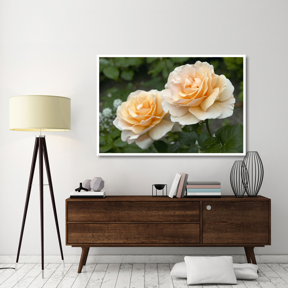 Rose just joey variety flowers-Paper Art-62&quotx42"