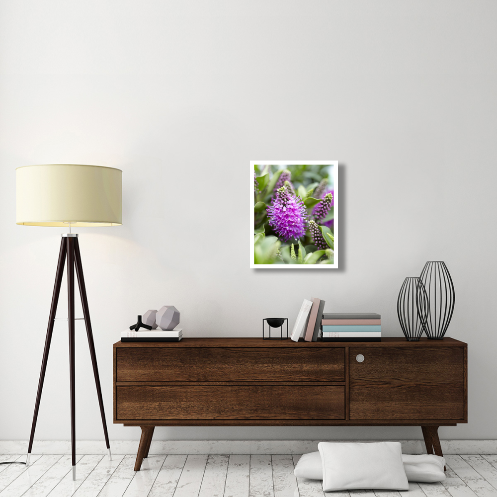 Hebe dona diana variety flowers-Paper Art-22&quotx26"