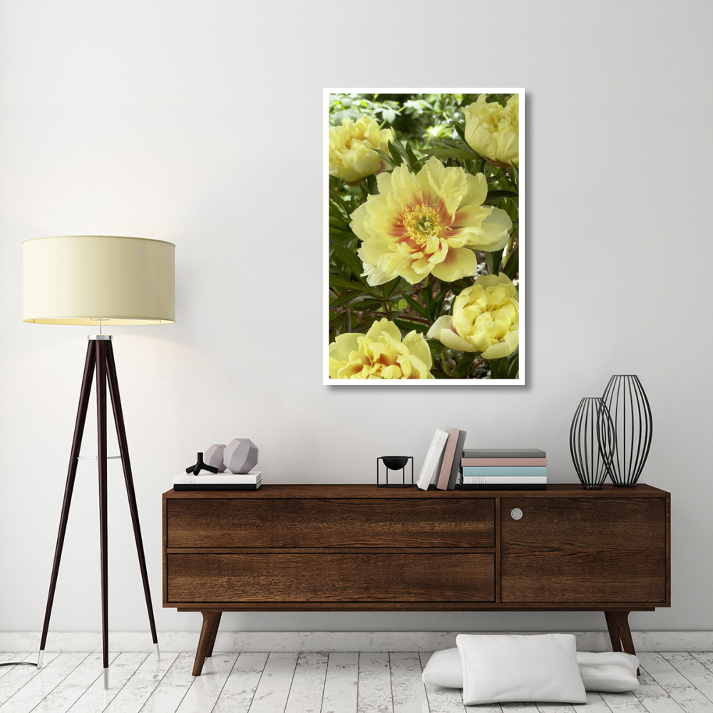 Peony bartzella variety flowers-Paper Art-34&quotx50"