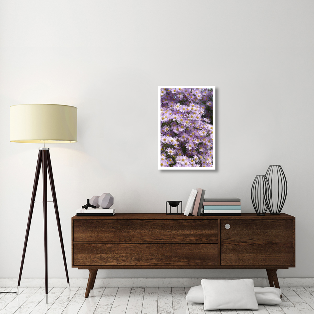 Aster pink star variety flowers-Paper Art-22&quotx32"