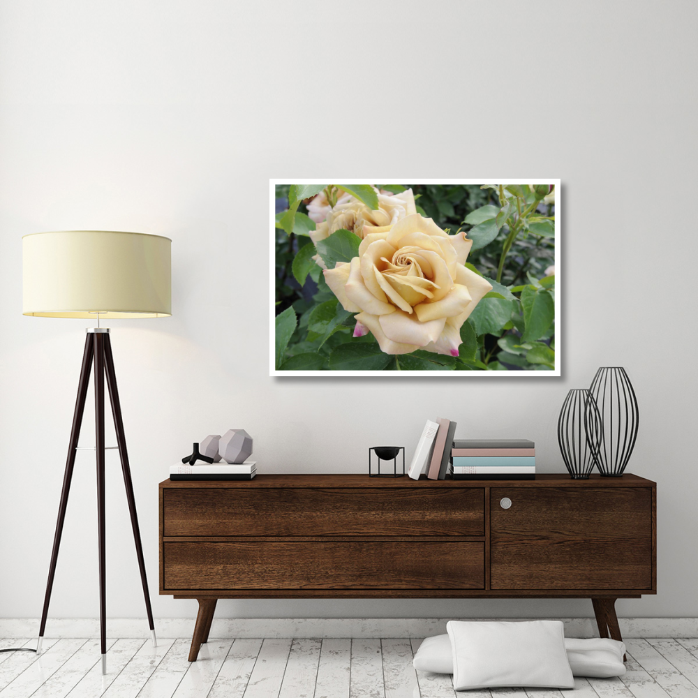Rose honey dijon variety flowers-Paper Art-50&quotx34"