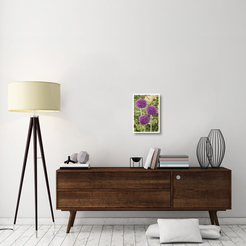 Onion ambassador variety flowers-Paper Art-14&quotx20"