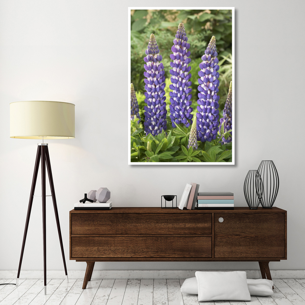 Lupine sea horse variety flowers-Paper Art-42&quotx62"