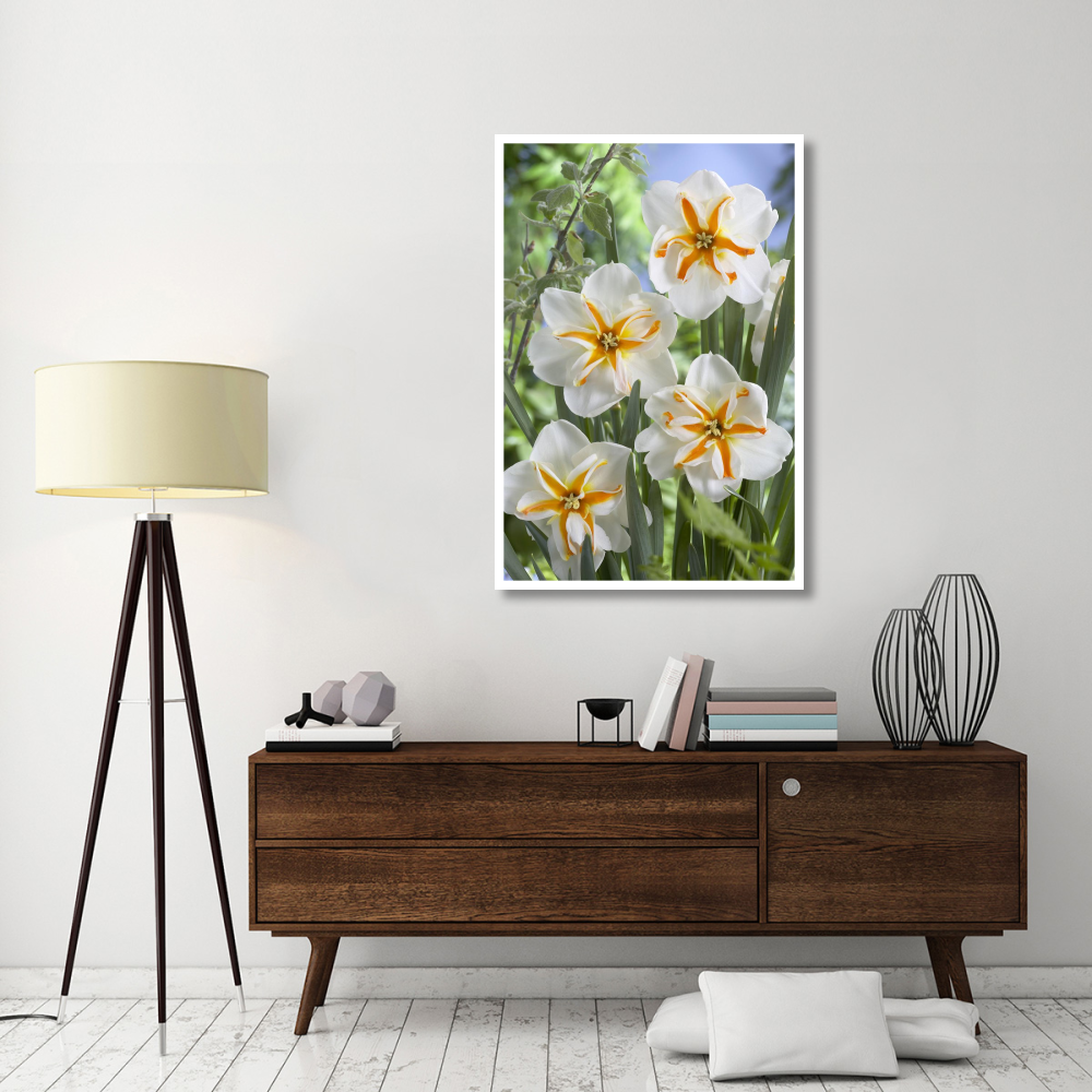 Daffodil trepolo variety flowers-Paper Art-34&quotx50"