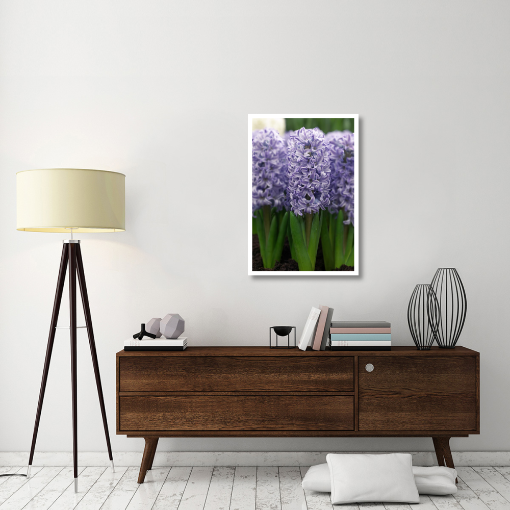 Hyacinth skyline variety flowers-Paper Art-26&quotx38"