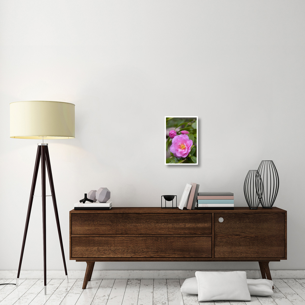 Camellia donation variety flower-Paper Art-14&quotx20"