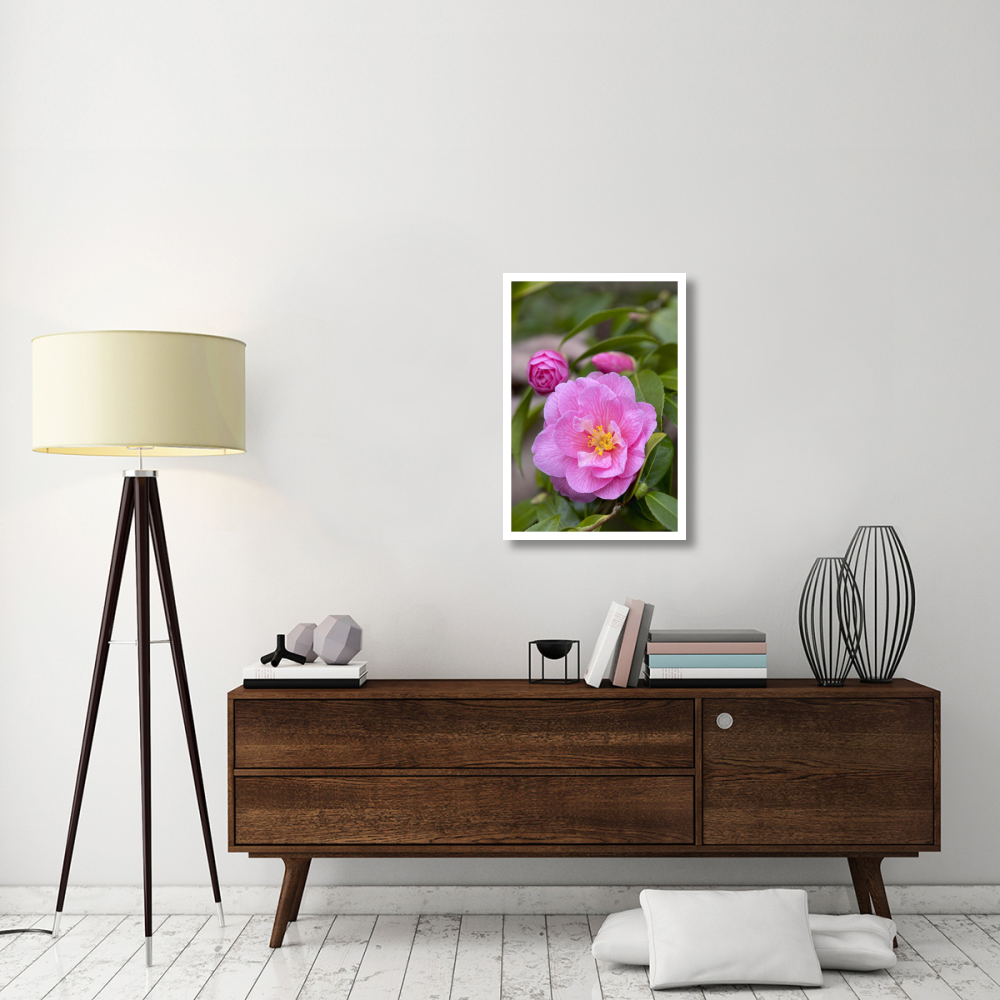Camellia donation variety flower-Paper Art-22&quotx32"