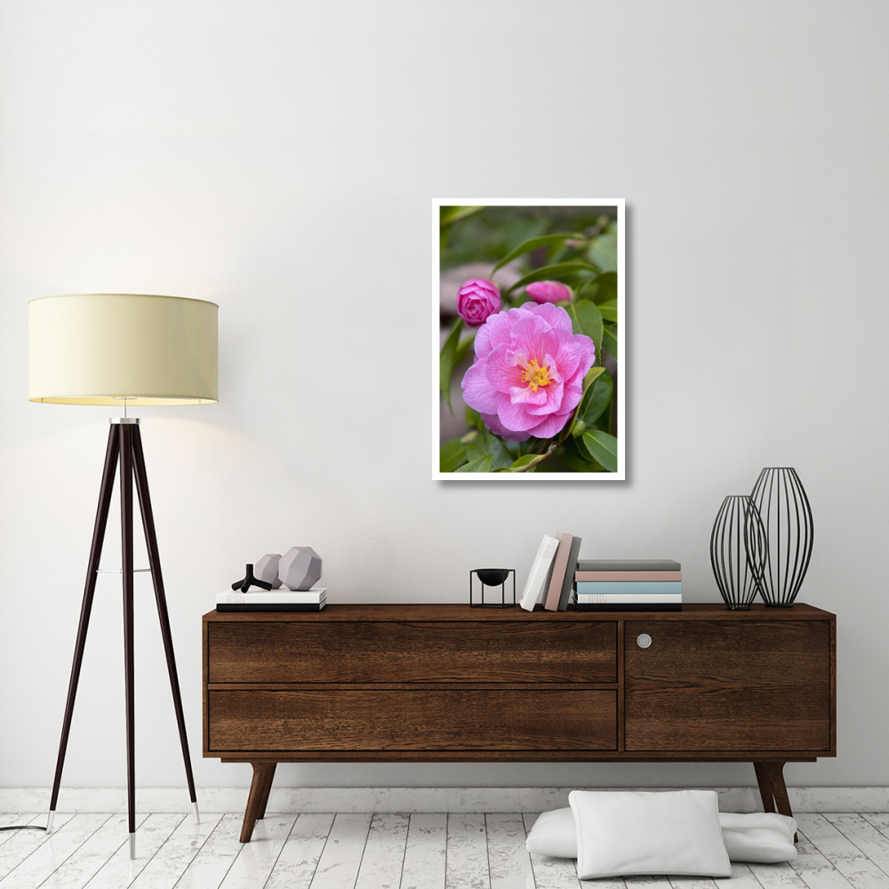 Camellia donation variety flower-Paper Art-26&quotx38"