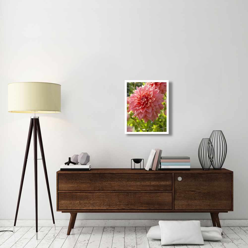 Dahlia beverly fly variety flower-Paper Art-22&quotx26"