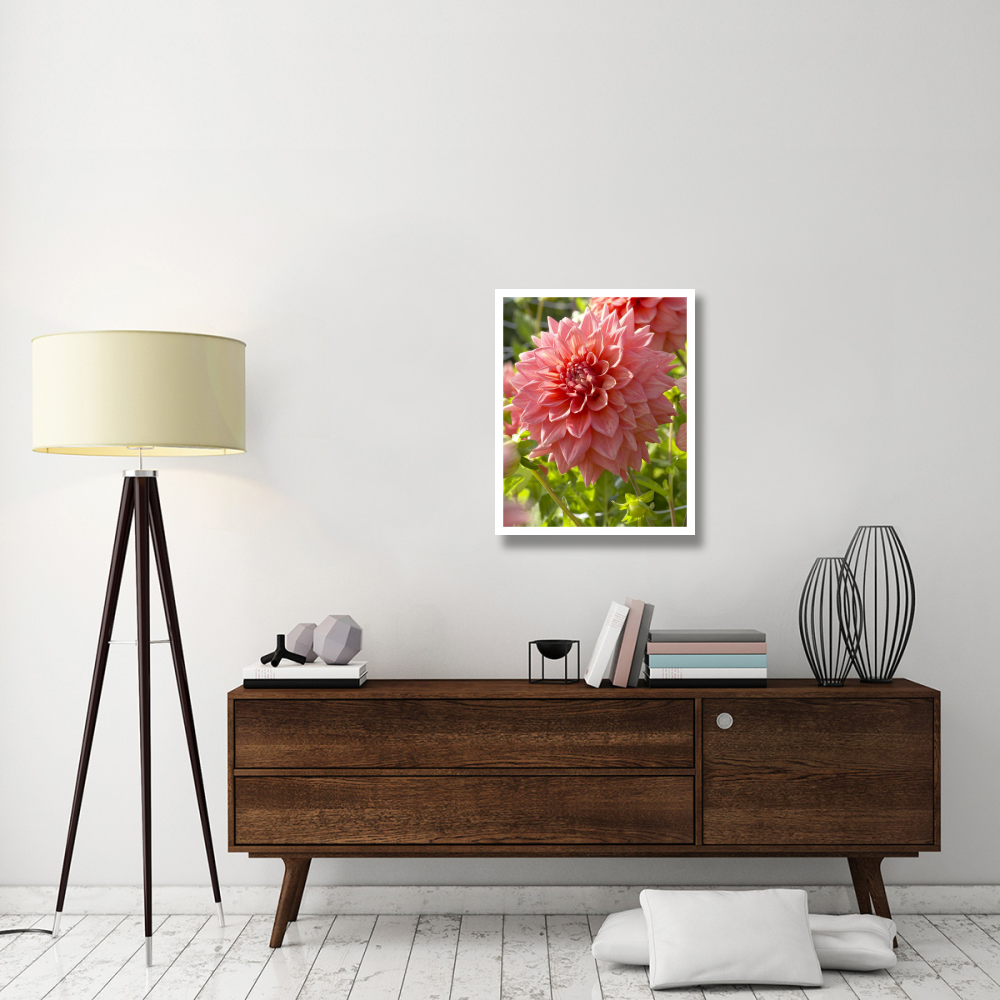 Dahlia beverly fly variety flower-Paper Art-24&quotx30"