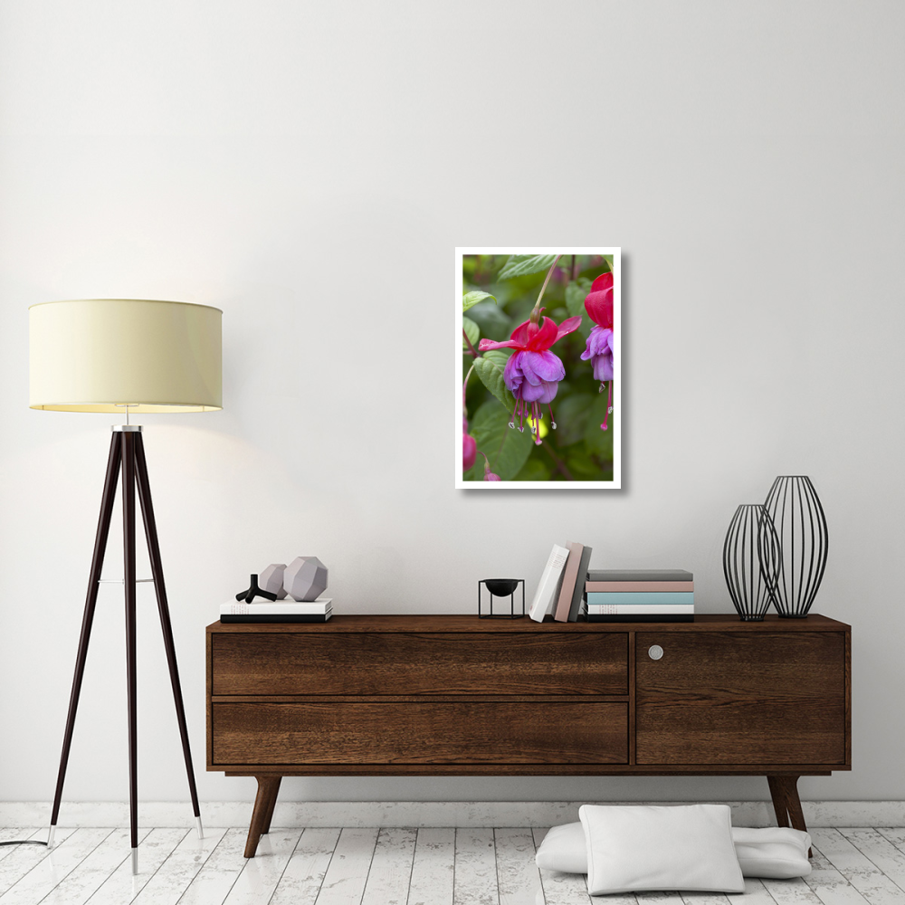 Fuchsia red and blue variety flower-Paper Art-22&quotx32"