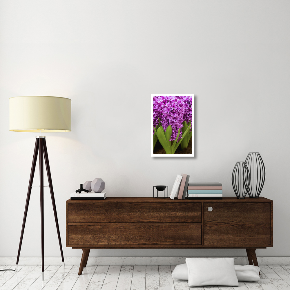 Hyacinth miss saigon variety flowers-Paper Art-18&quotx26"