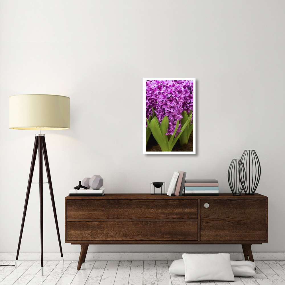 Hyacinth miss saigon variety flowers-Paper Art-22&quotx32"