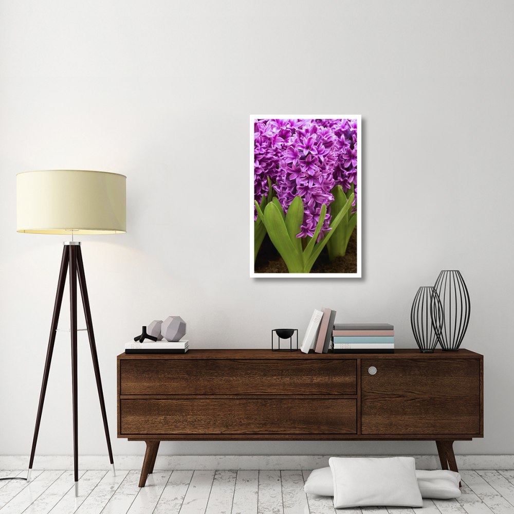 Hyacinth miss saigon variety flowers-Paper Art-26&quotx38"