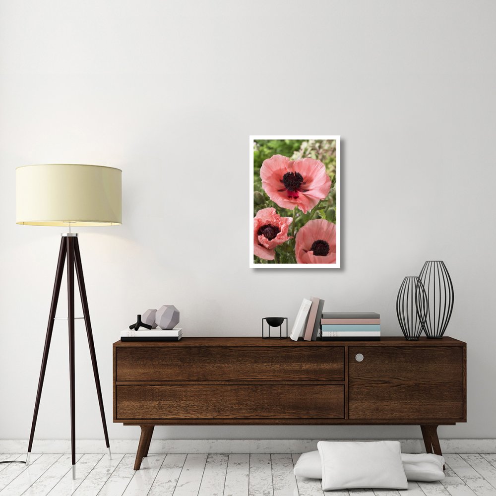 Oriental Poppy salmon variety flowers-Paper Art-22&quotx32"