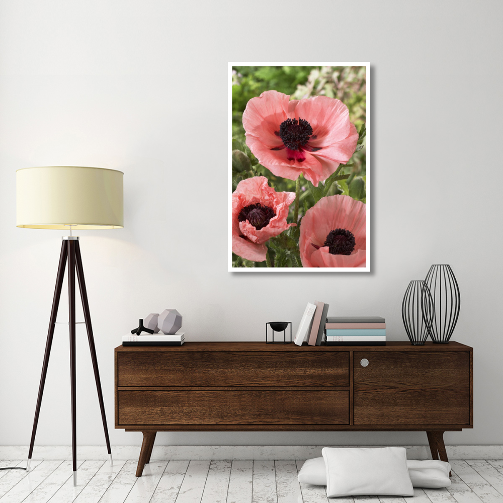 Oriental Poppy Salmon Variety Flowers-Paper Art-34"&quotX50""