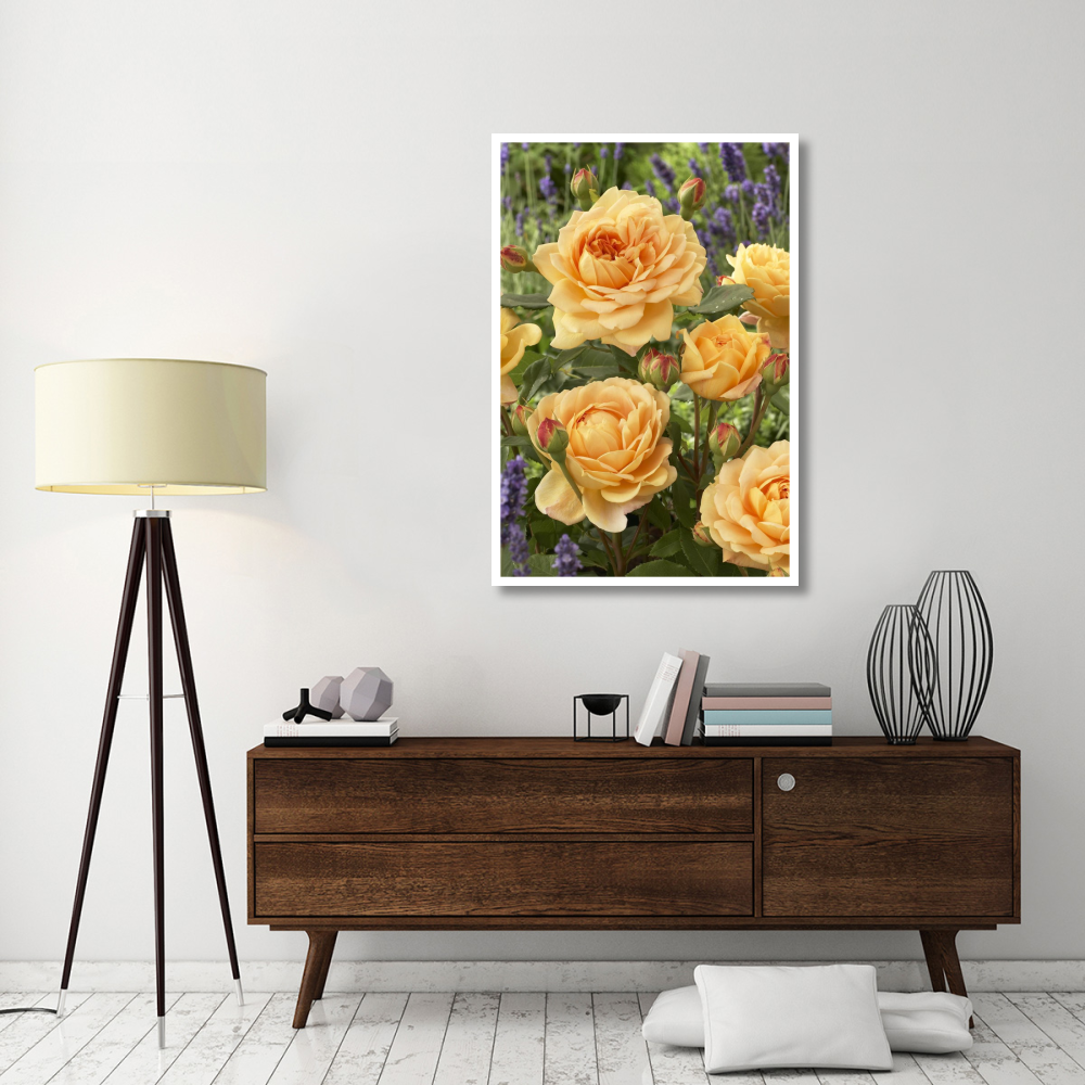 Rose golden celebration variety flowers-Paper Art-34&quotx50"