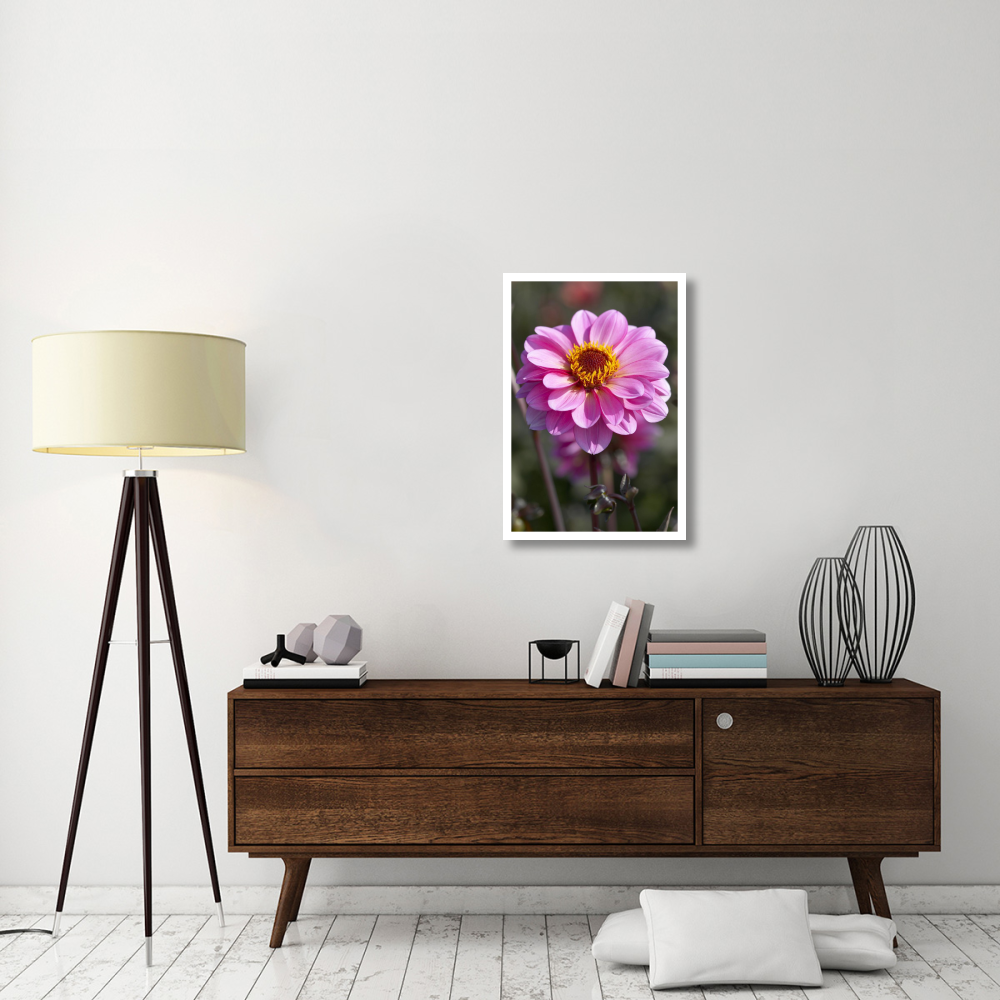 Dahlia classic rosamunde variety flower-Paper Art-22&quotx32"