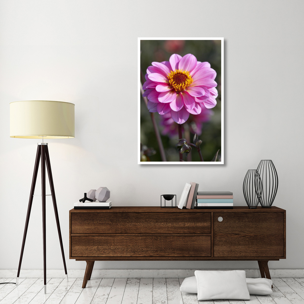 Dahlia classic rosamunde variety flower-Paper Art-34&quotx50"