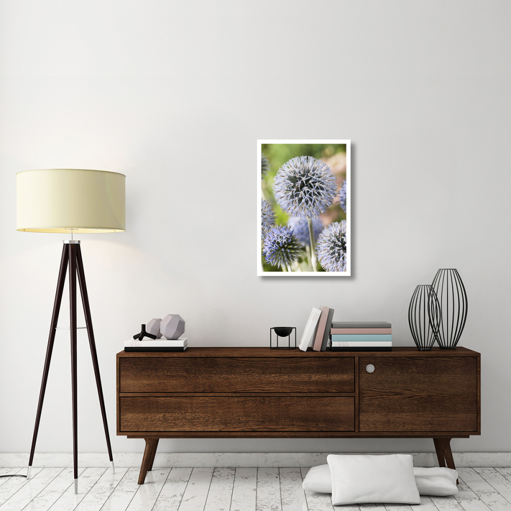 Globethistle blue pearl variety flowers-Paper Art-22&quotx32"