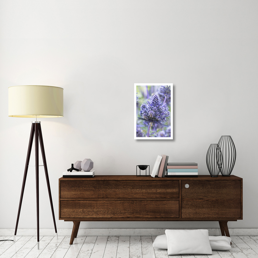 Plains Eryngo bethlehem variety flowers-Paper Art-18&quotx26"