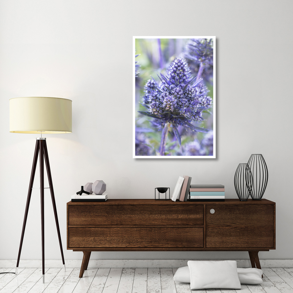 Plains Eryngo bethlehem variety flowers-Paper Art-34&quotx50"